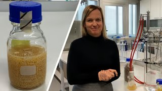 Im Labor züchtet Prof. Heike Frühwirth Myzel. 
